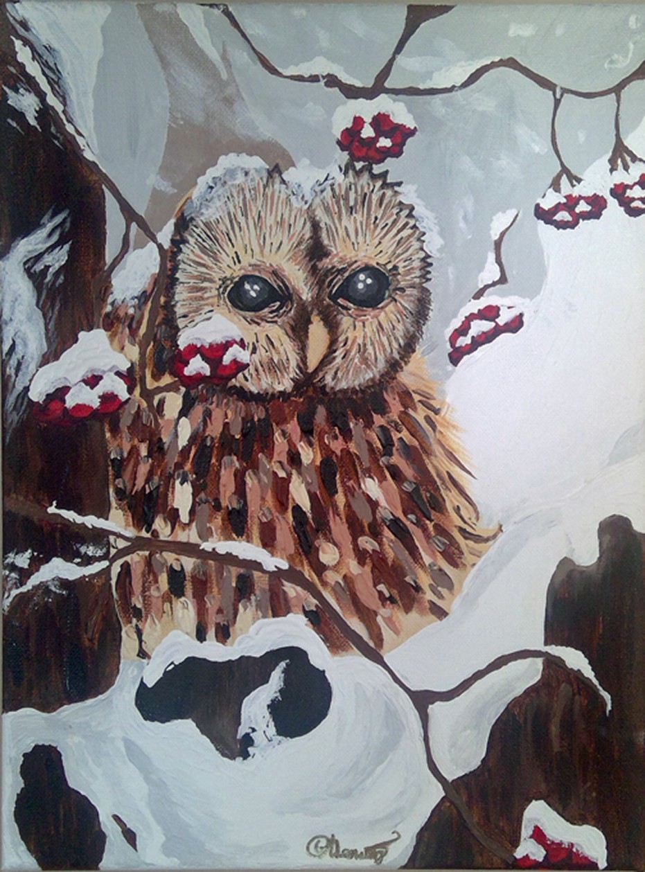 owl in winter