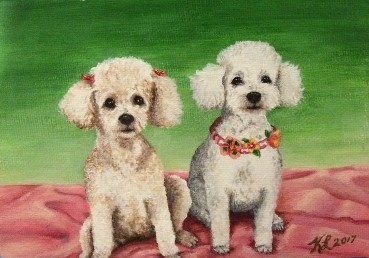 Poodle Pair